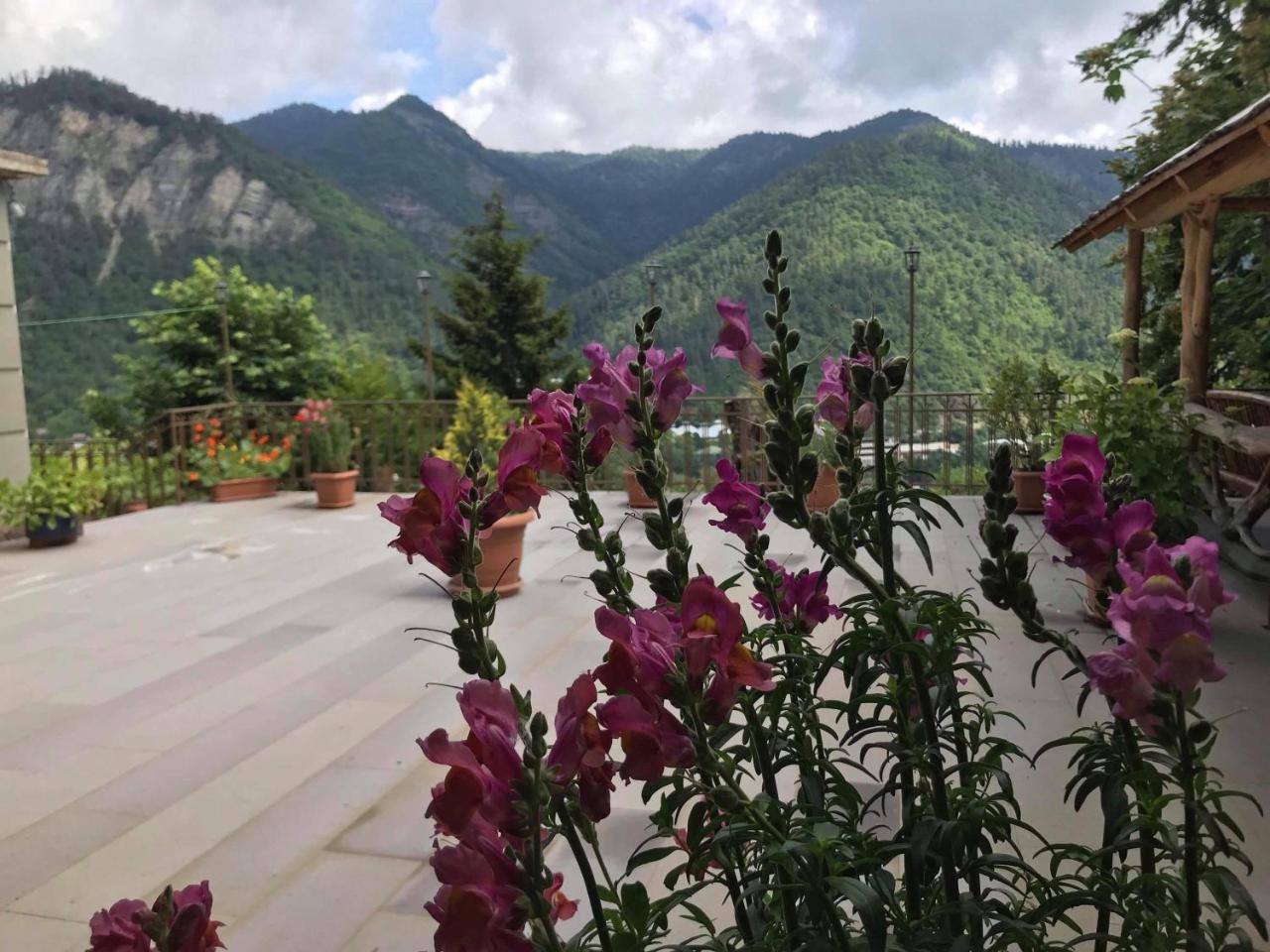 Anano'S Guesthouse Borjomi Exterior foto